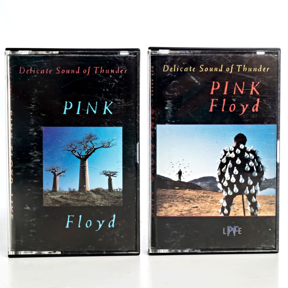 PINK FLOYD Cassette Tape Rock Prog Delicate Sound of Thunder
